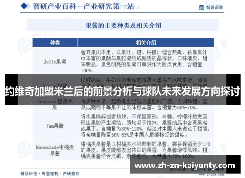 约维奇加盟米兰后的前景分析与球队未来发展方向探讨