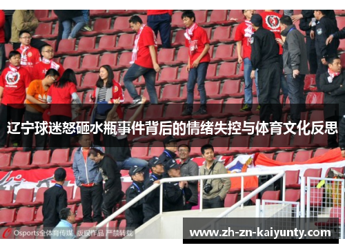 辽宁球迷怒砸水瓶事件背后的情绪失控与体育文化反思