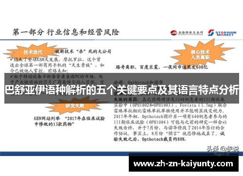 巴舒亚伊语种解析的五个关键要点及其语言特点分析