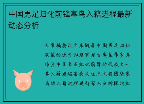 中国男足归化前锋塞鸟入籍进程最新动态分析