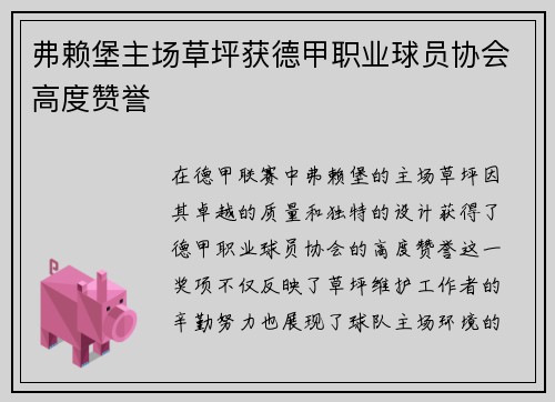 弗赖堡主场草坪获德甲职业球员协会高度赞誉